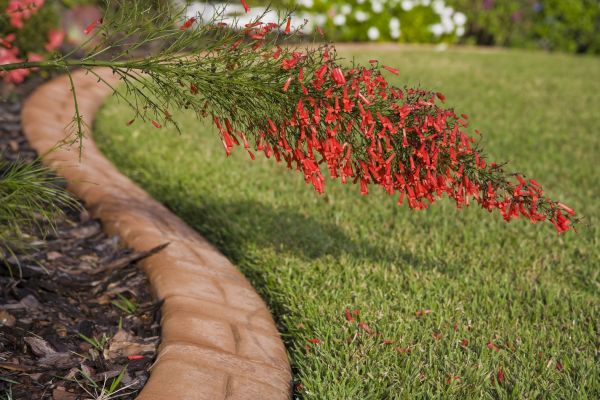 Brick Edging in Smyrna