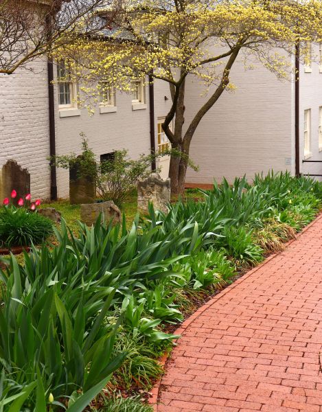 Brick Flatwork Repair in Smyrna
