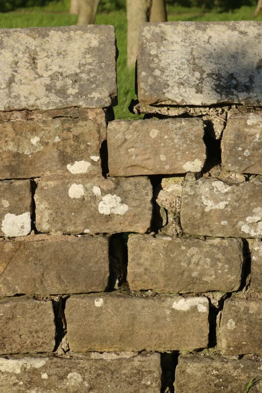 Masonry Repair